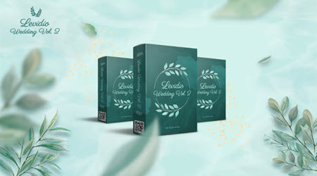 Levidio Wedding Vol 2