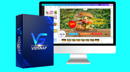 VidSnap PLR